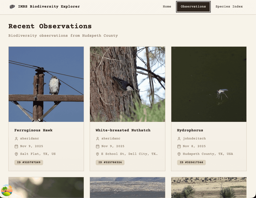 Log 02: Early UI Demo and Database Decisions