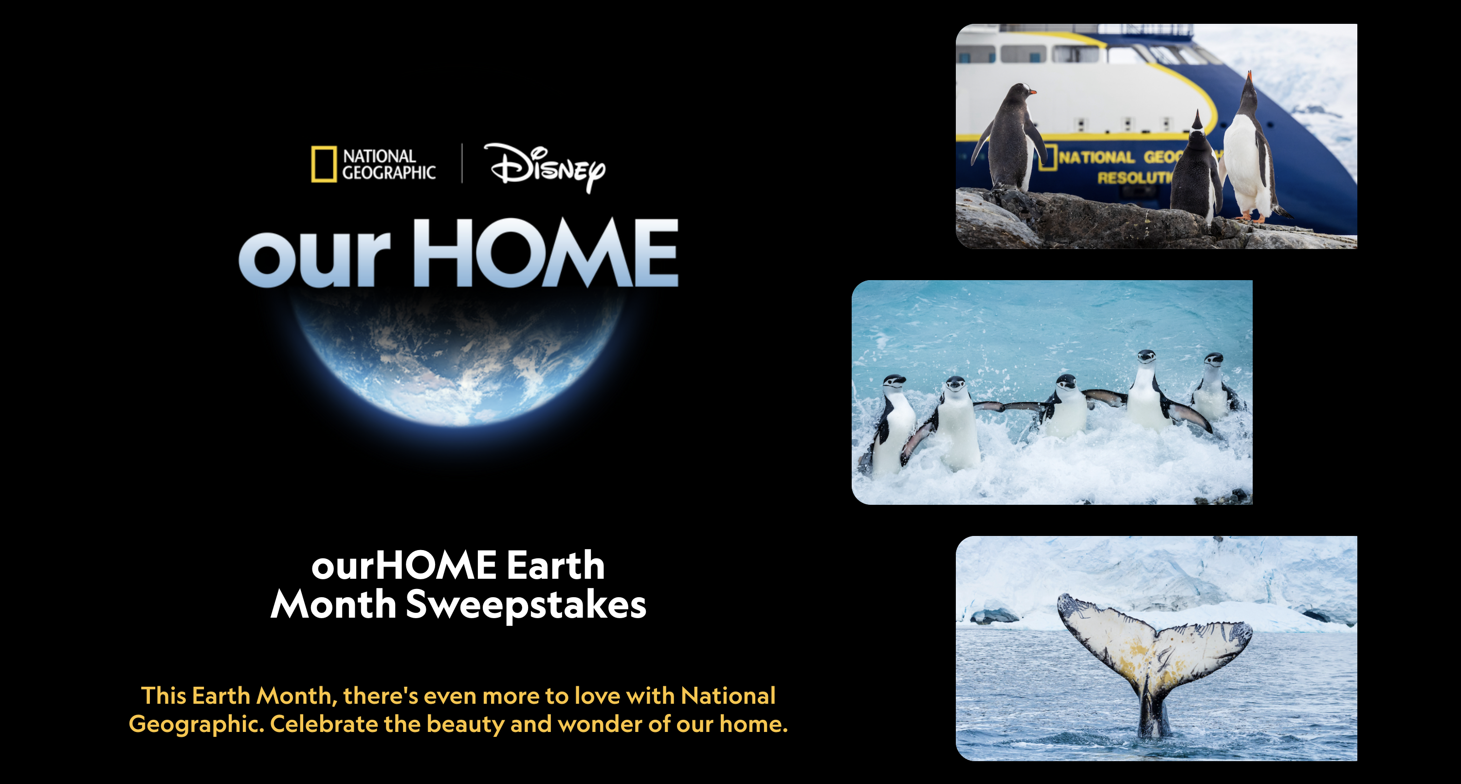National Geographic Earth Month Sweepstakes
